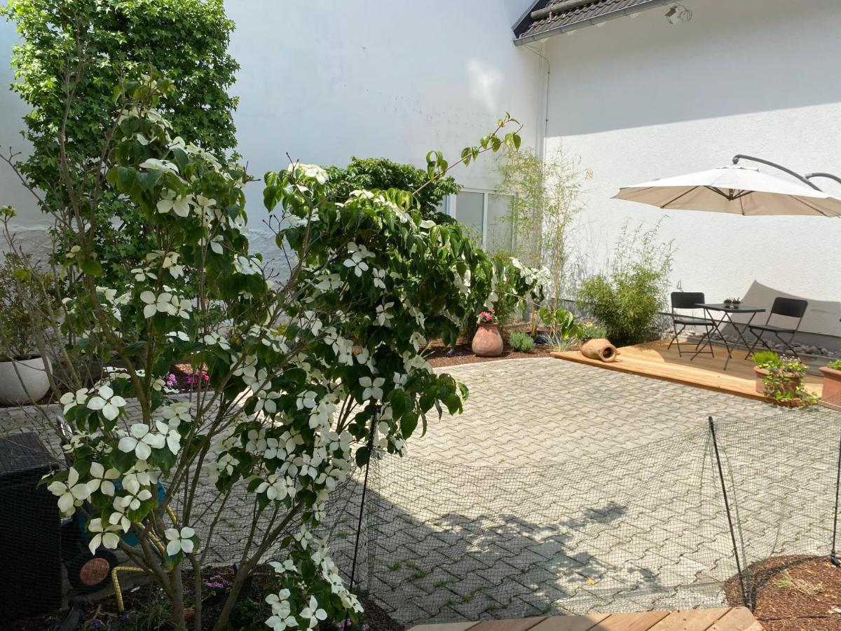 Altstadt-Chalet @Conny'S Brilon Εξωτερικό φωτογραφία